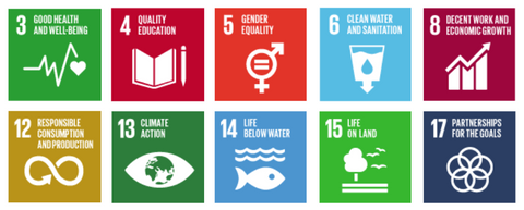 10 sustainable development goals