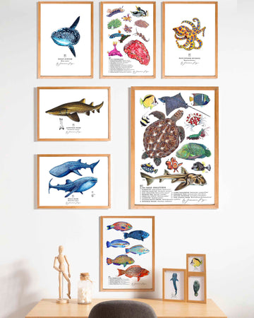 Shark Art Print – Francesca Page Collections