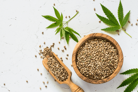 Hemp seeds are an unexceptional source of plant based protein containing all 9 essential amino acids and healthy fats.