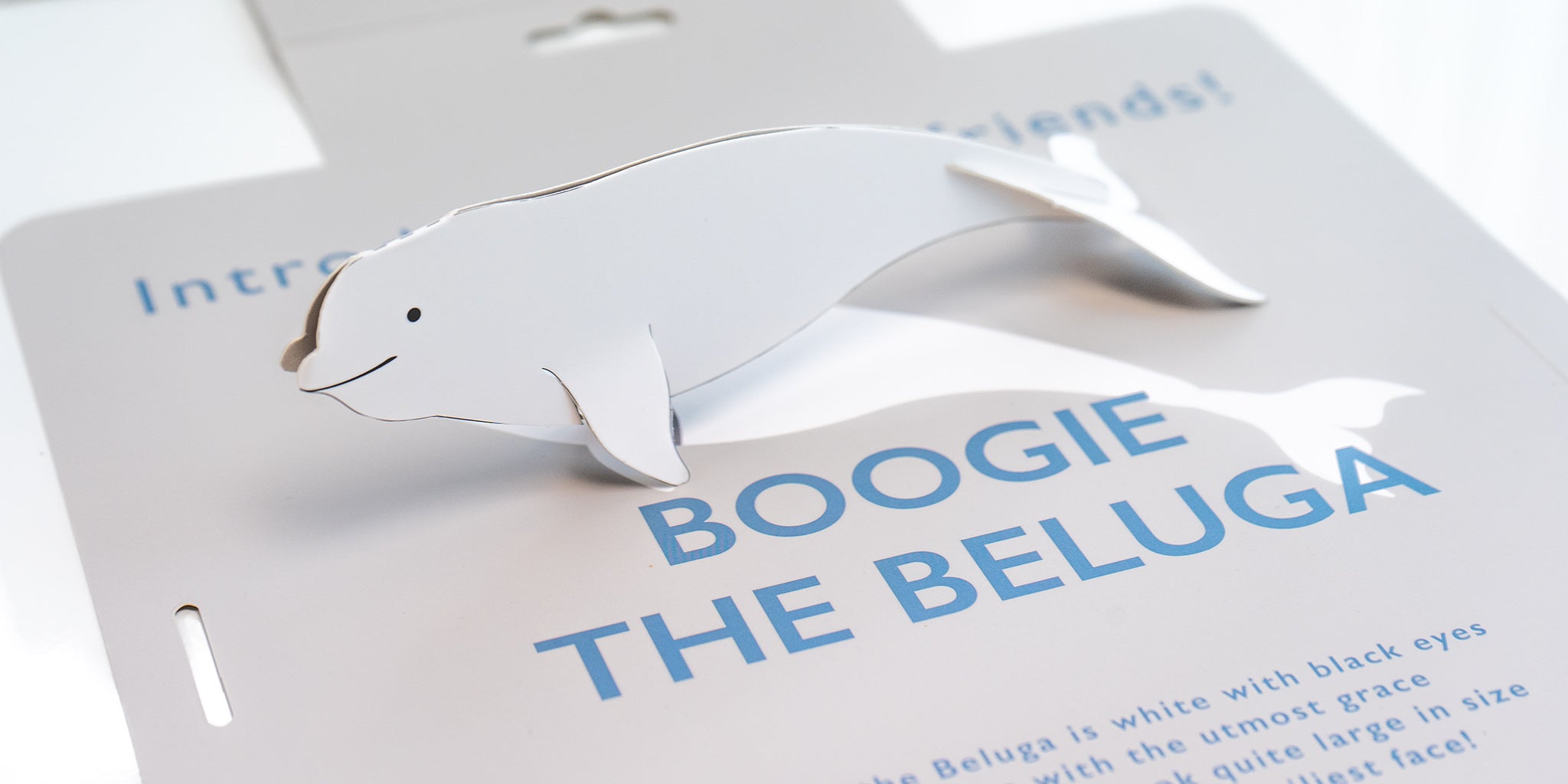 Boogie The Beluga Nest Designs