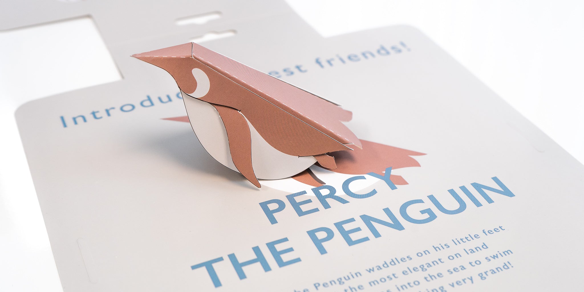 Percy The Penguin Nest Designs