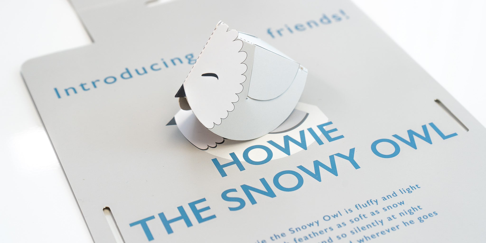 Howie The Snowy Owl