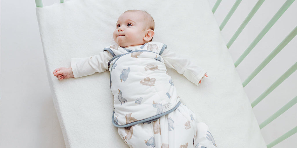 Nest Designs swaddle sleep bag