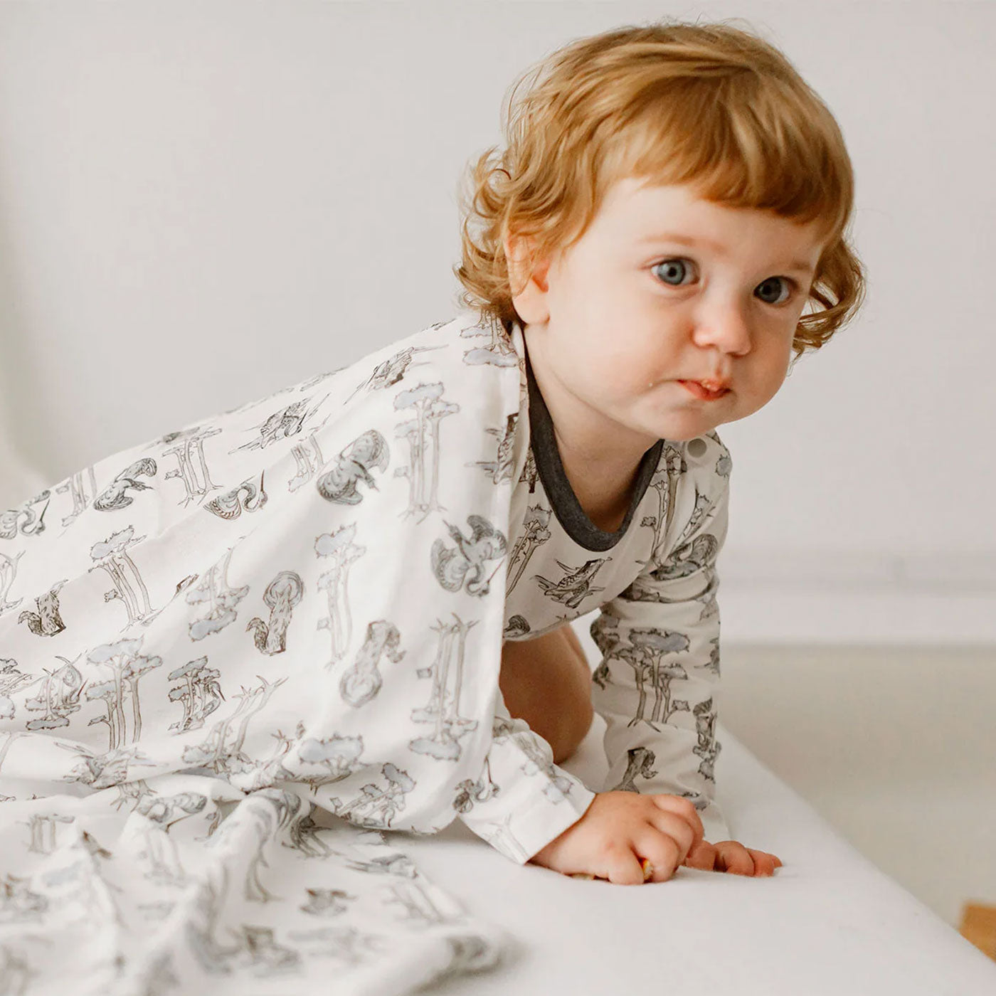 Swaddle Blankets - Nest Designs