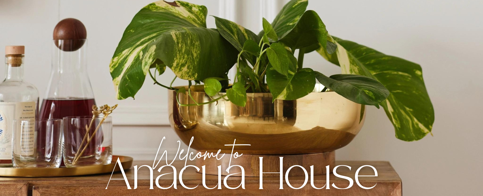welcome to anacua house