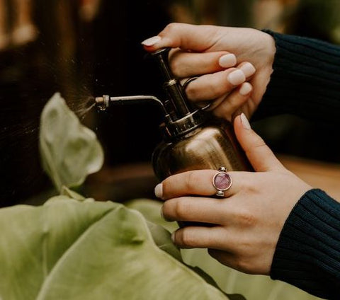 Person spraying a plant wearing an amethyst fidget ring