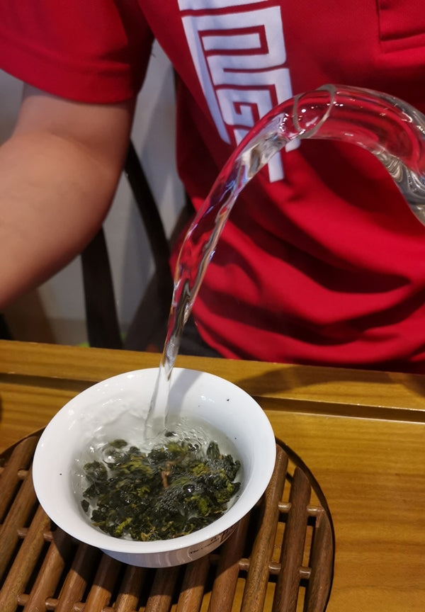 台灣高山茶杉林溪烏龍茶沖泡