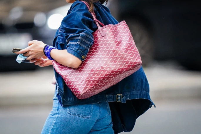 Karl Lagerfeld's Goyard luggage. SWOON