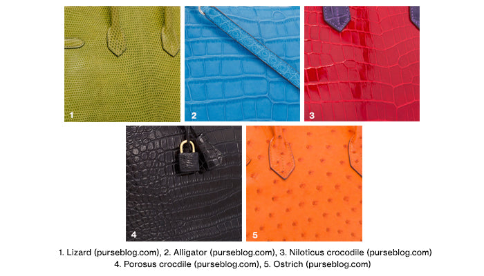 hermes ostrich color chart