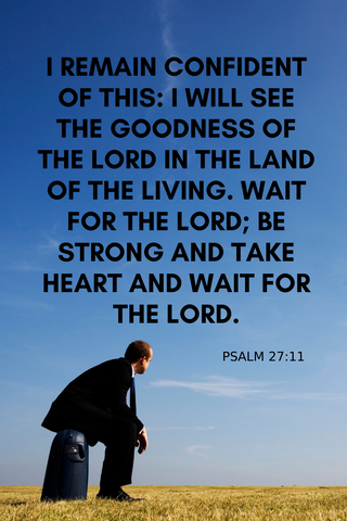 Psalm 27:13 image