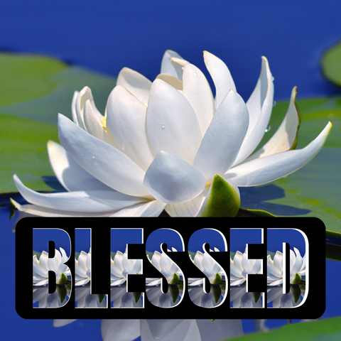 Blessed Tulip Mug image