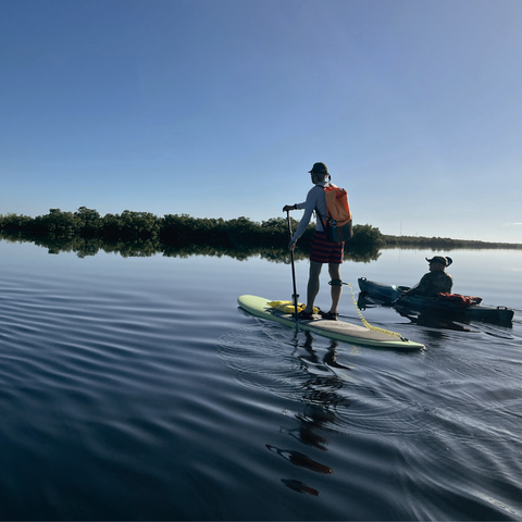 Paddleboarding with Naples Outfitters