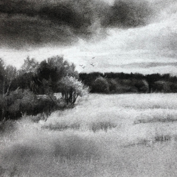 portfolio charcoal