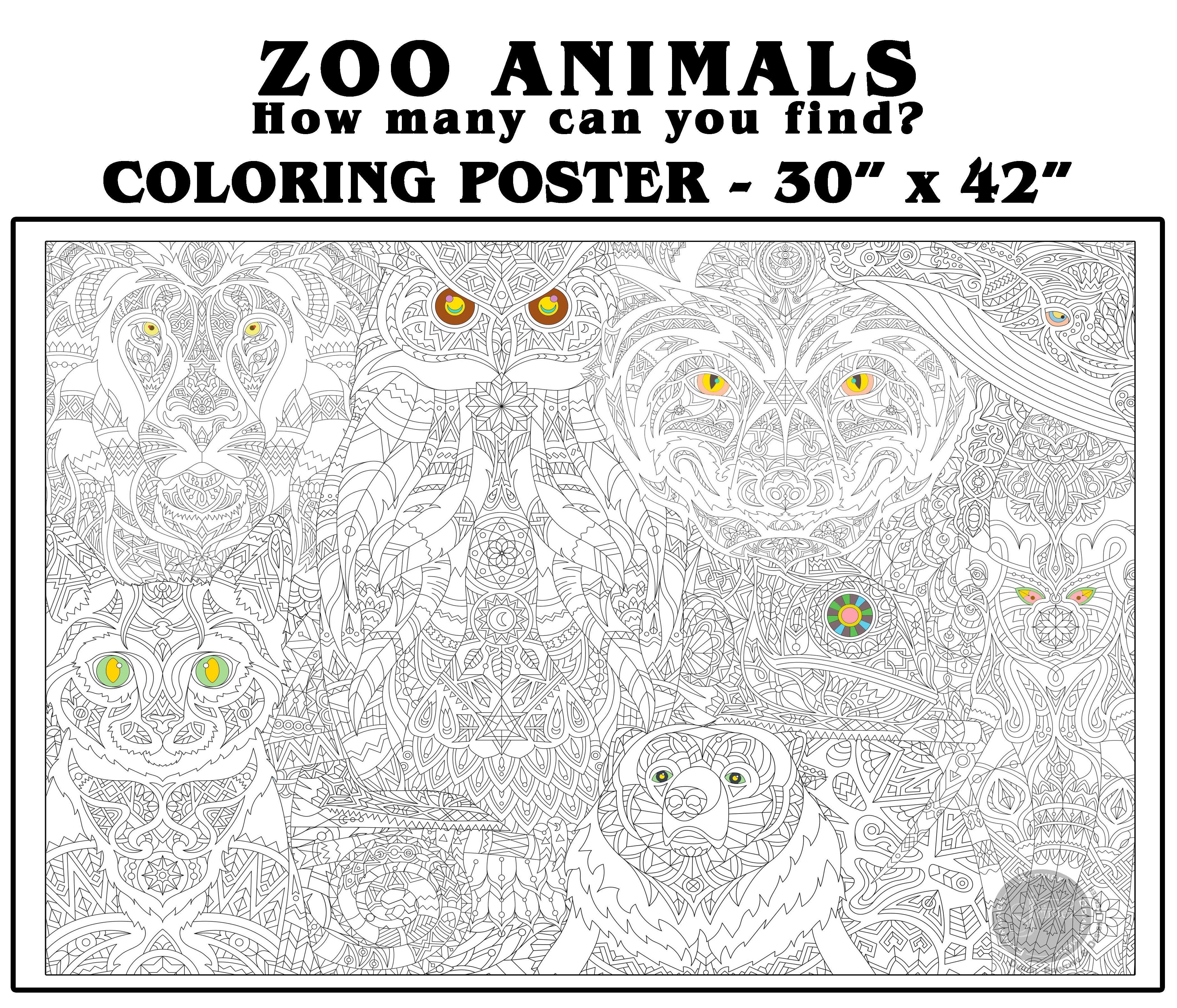 Turtle Giant Coloring Posters for Kids Adults Sea Turtle Coloring Sheets  39.37×51.96 Inch Mandala Coloring Page Wall Art Decor Blank Banner for  School