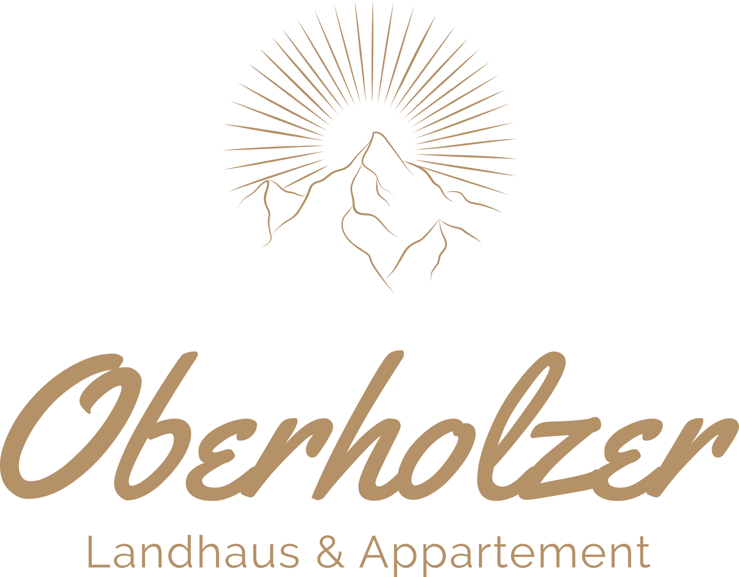 www.landhaus-oberholzer.at