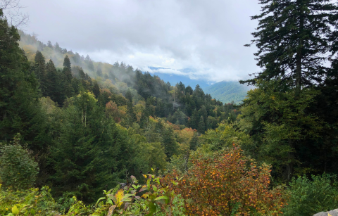 Falling For Foliage - Fall Hiking With A View ZIPHERS