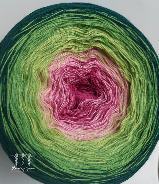 Gradient ombre yarn cake, colour combination C155 by Klaudia Kamienior –  Blooming Yarns by KW