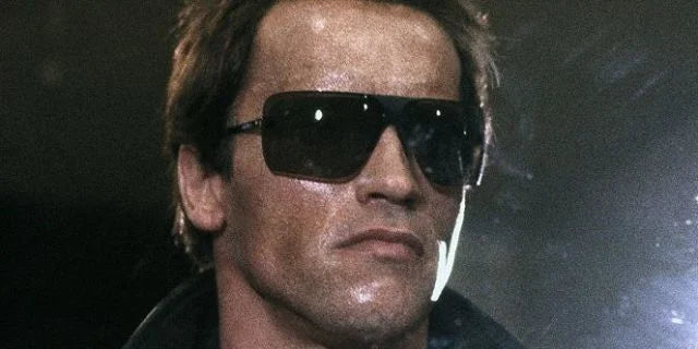Gargoyle Sunglasses Terminator
