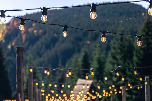 fence lights