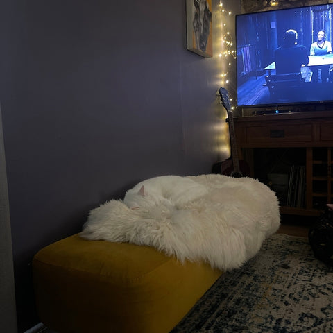 Elevate your interior design with exquisite sheepskin rugs. Indulge in the softness and sophistication of these natural, stylish floor coverings.