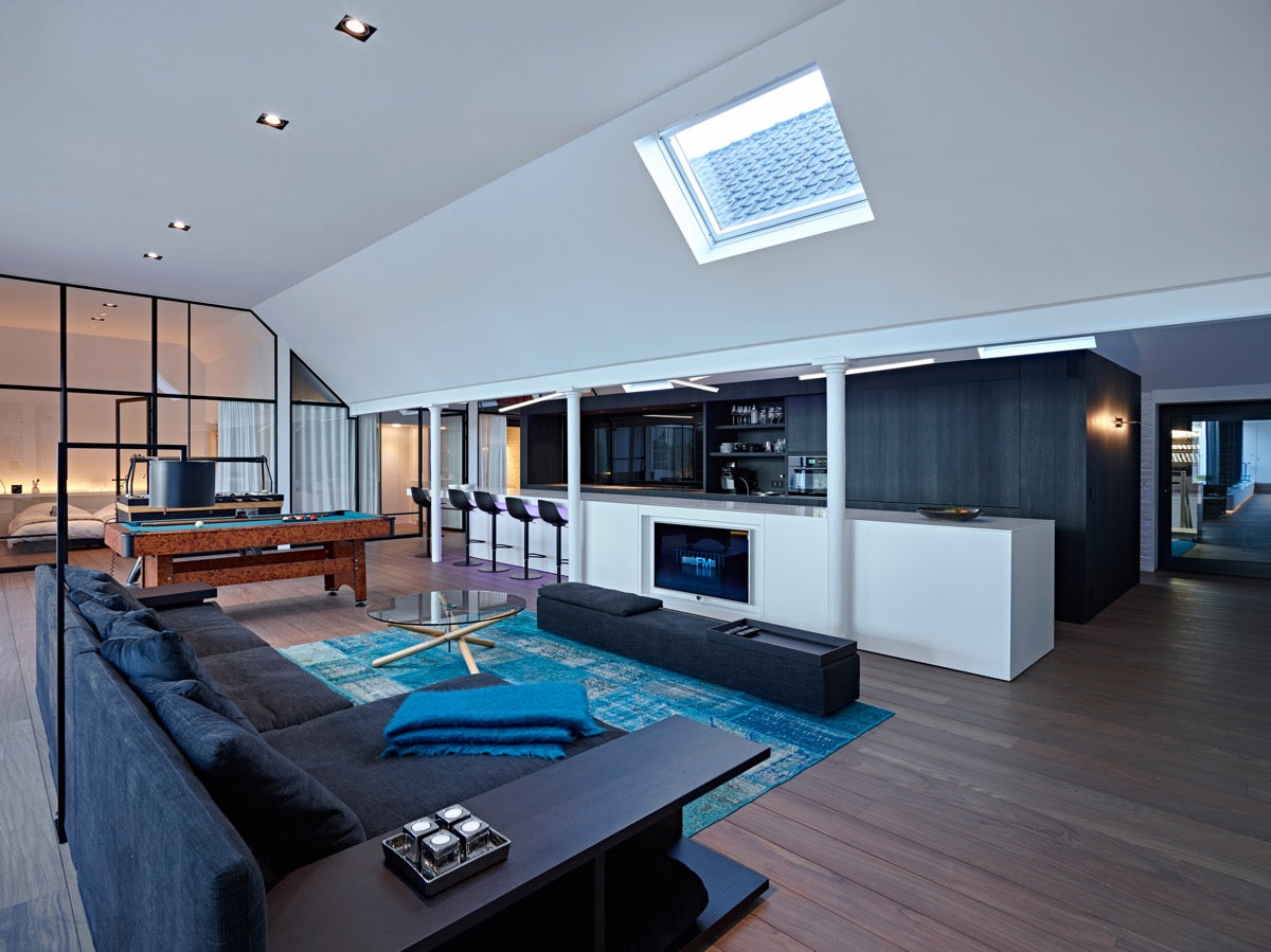 ceiling skylight