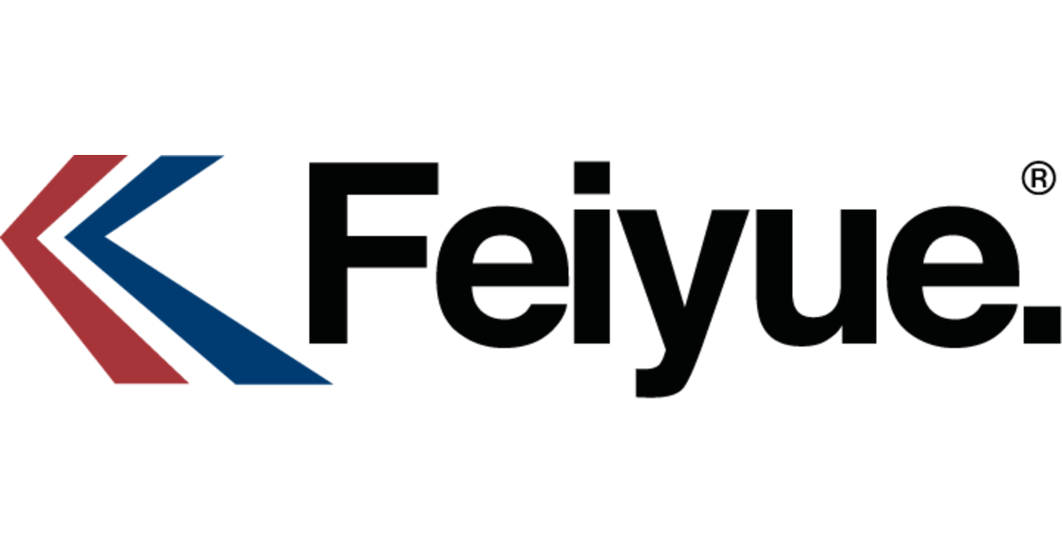 Feiyue (EU)