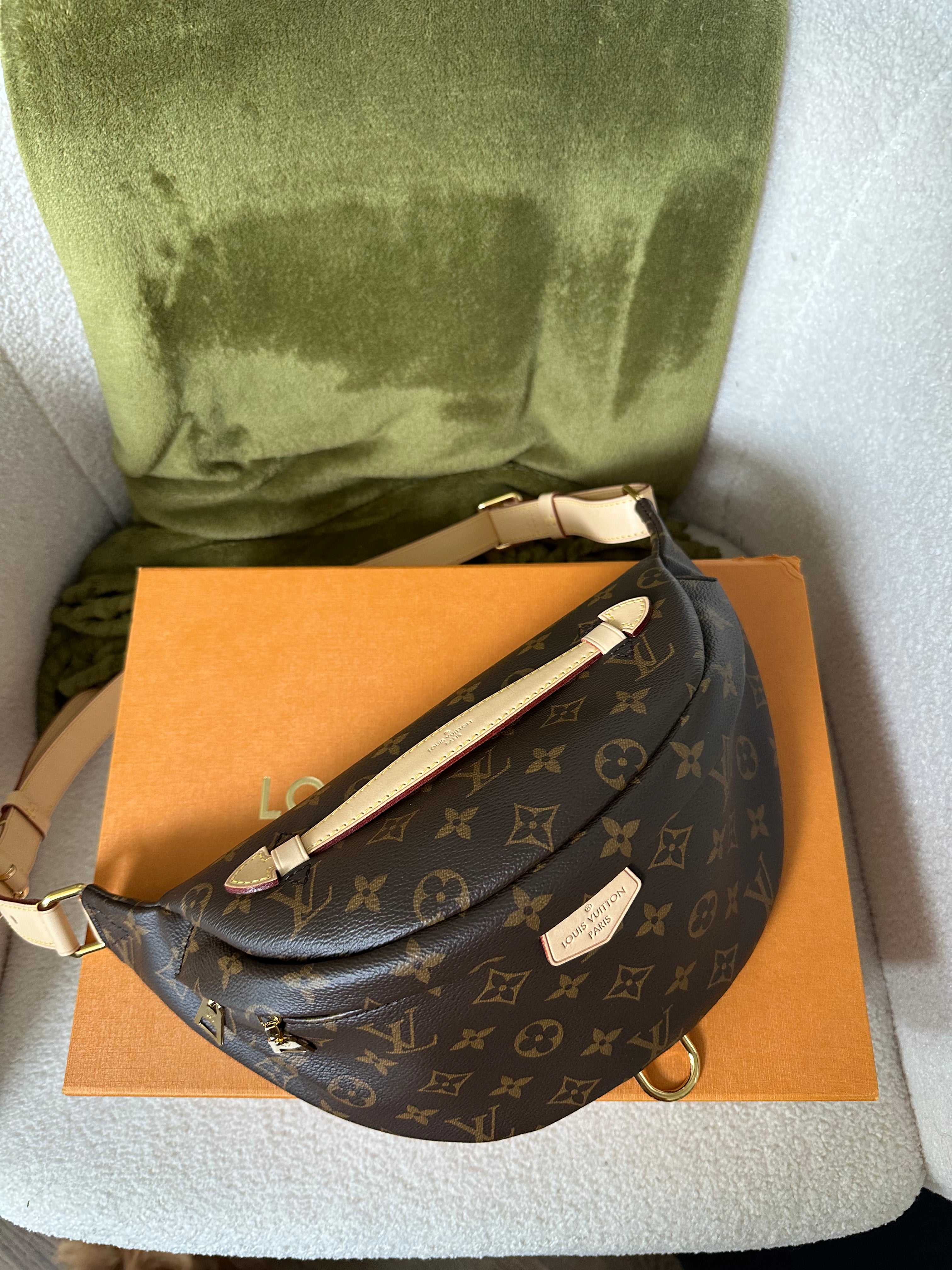 Louis Vuitton Monogram Bumbag
