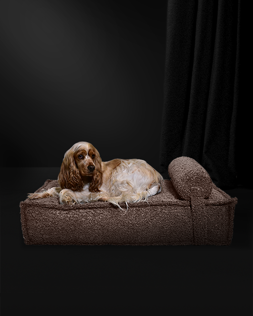 The SERENE dog bed in beige.