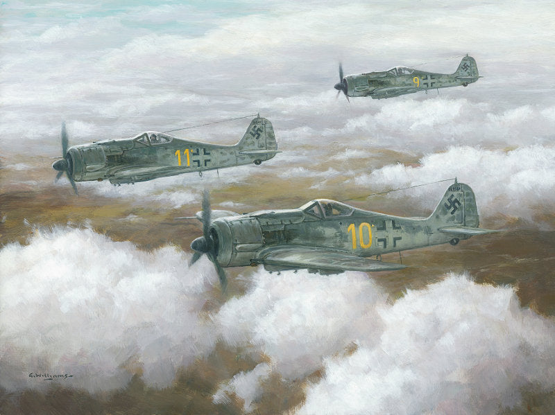 Focke Wulf Fw 190 Aviation Art Limited Edition Print By Aviation Artist