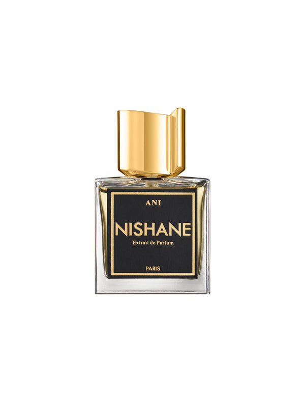 Купить nishane парфюм. Духи Nishane ani. Nishane Парфюм зеленый. Nishane Wulong Cha. Ani Nishane лого.