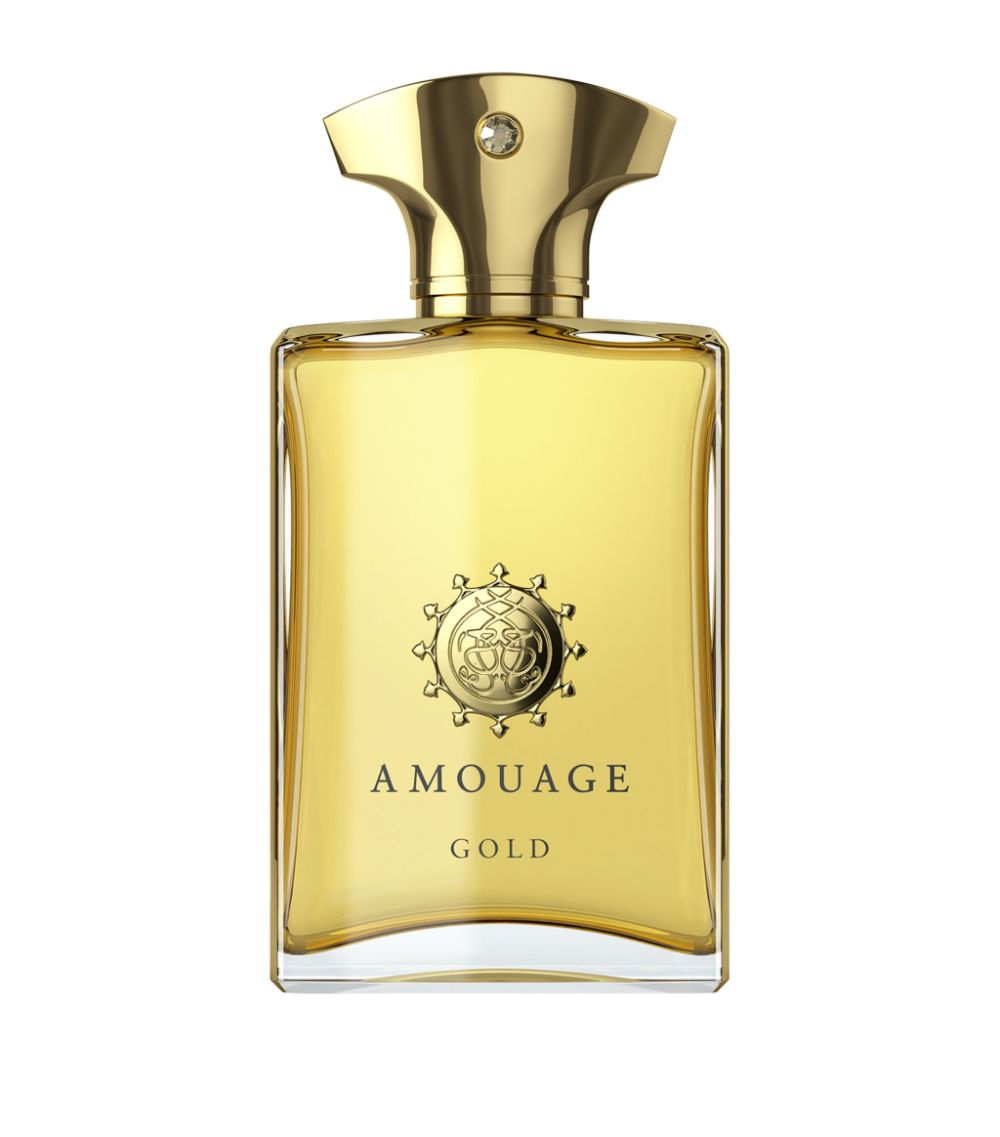 Amouage Reflection 45 Man 100ml Exception Extrait