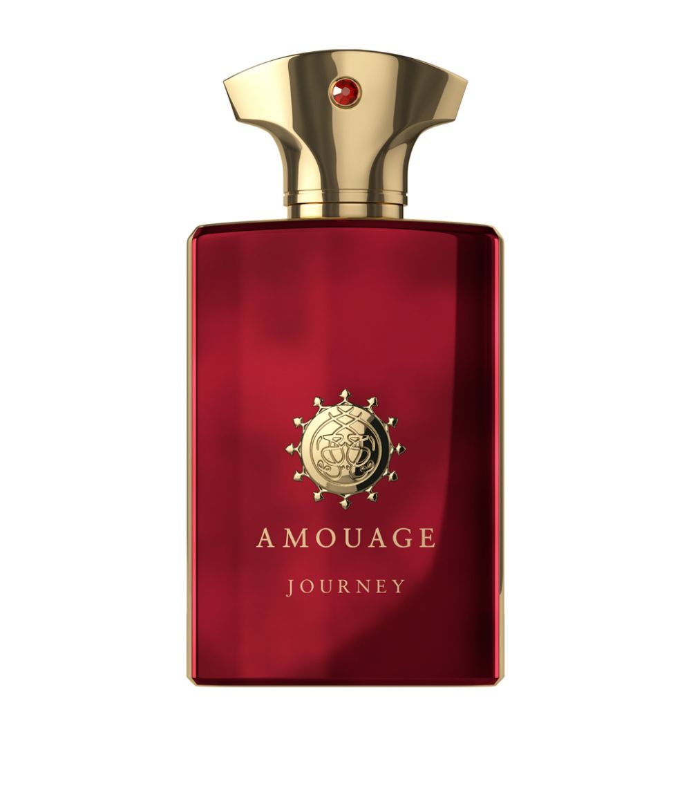 Buy AMOUAGE INTERLUDE MEN EDP 100ML by AMOUAGE Paris