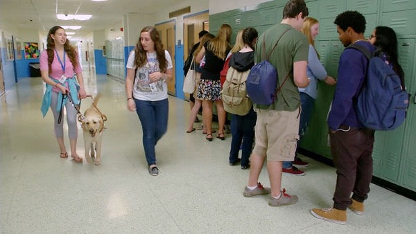 Dog in School hallway