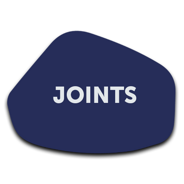 joints-1664807780534.png__PID:9fc085e3-7f4e-43f8-af06-f2bcc26e4577