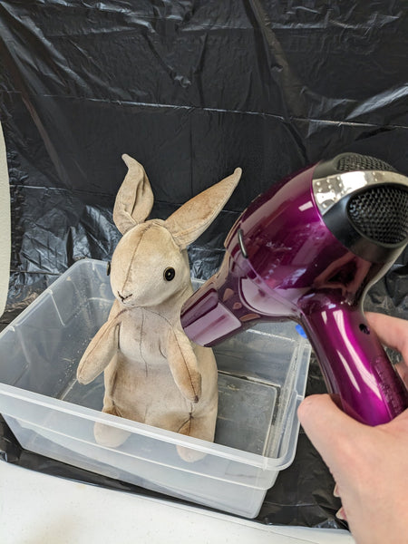 Bunny getting blow-dried