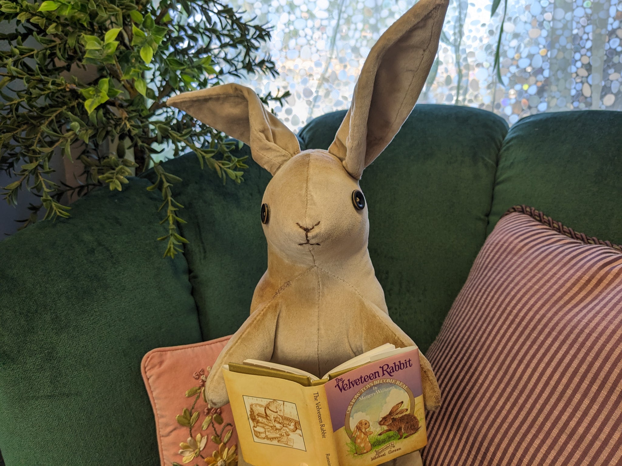 Tubby Bunny reading his own book