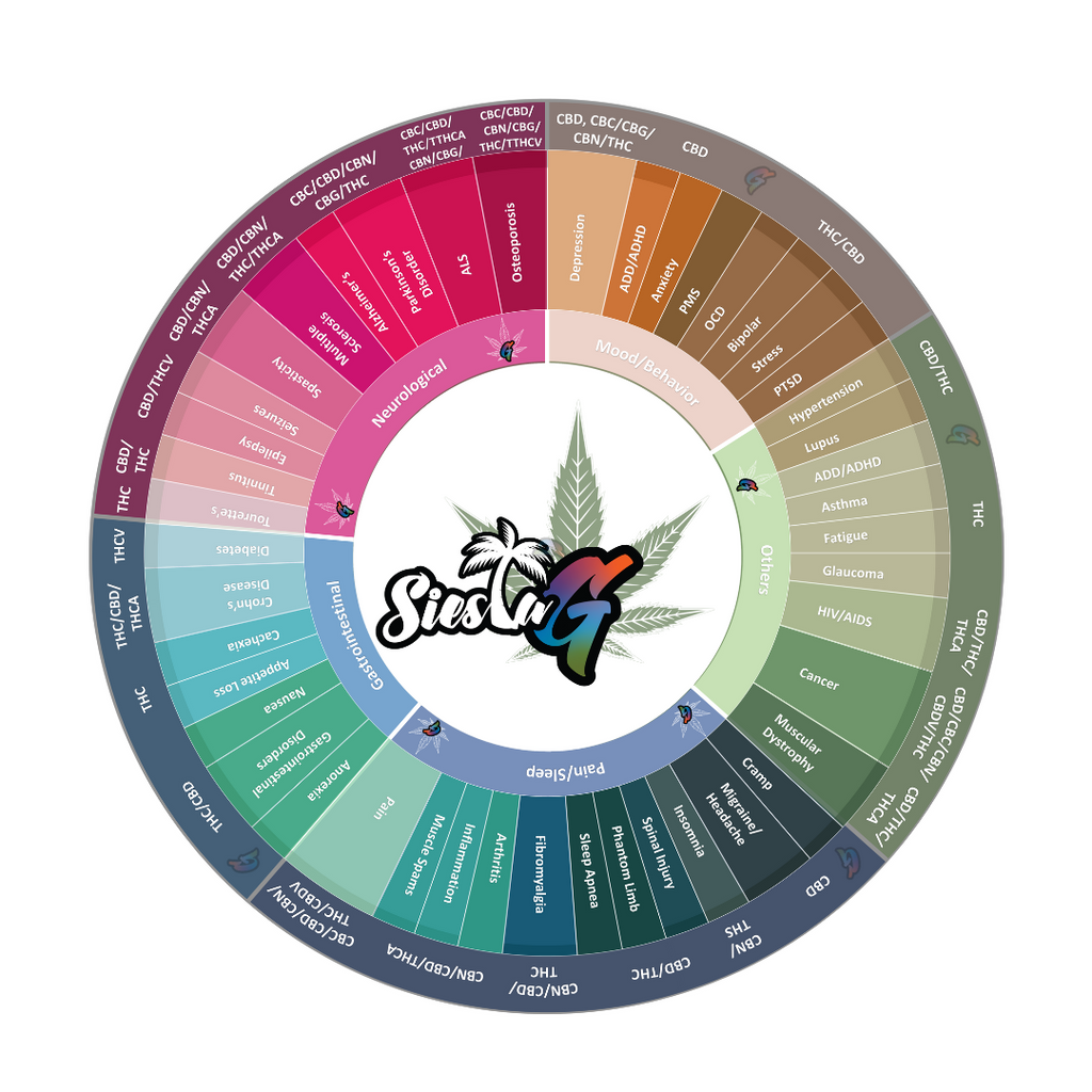 Understanding Cannabinoids: A Chart Breakdown