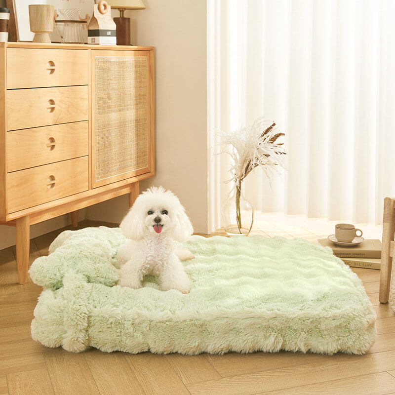 Fashion Cute Cozy Pet Pillow