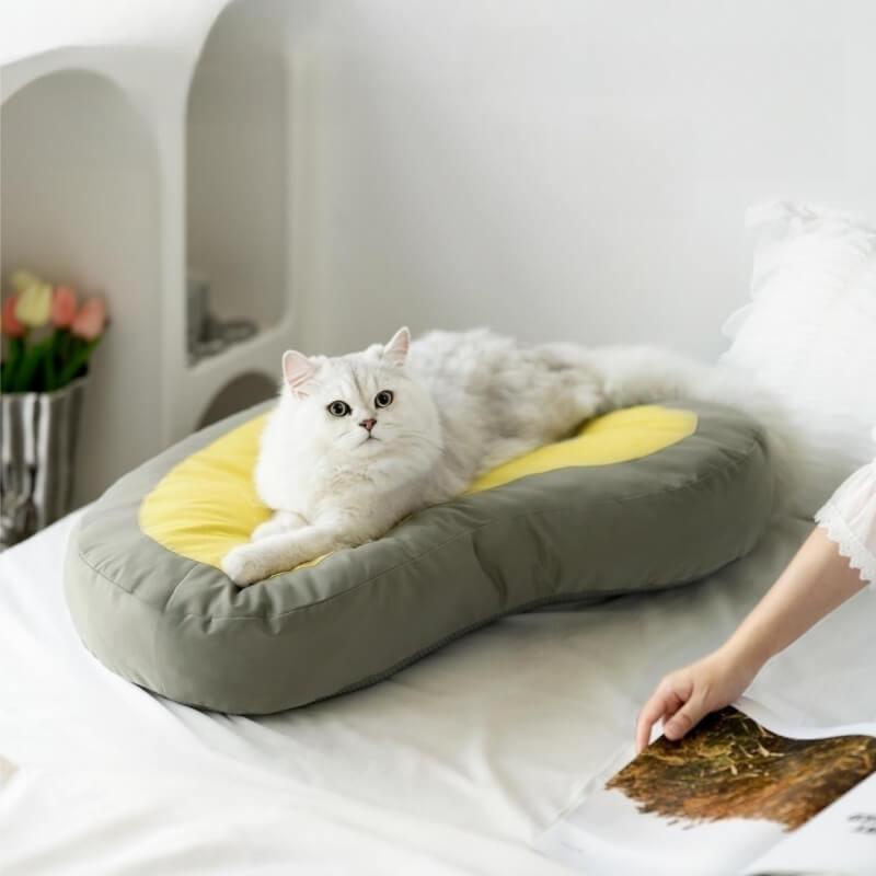 https://cdn.shopify.com/s/files/1/0549/1638/2879/files/funnyfuzzyPetExtraThickSleepingPadClockDog_CatBed-_2.jpg?v=1690541283&width=800