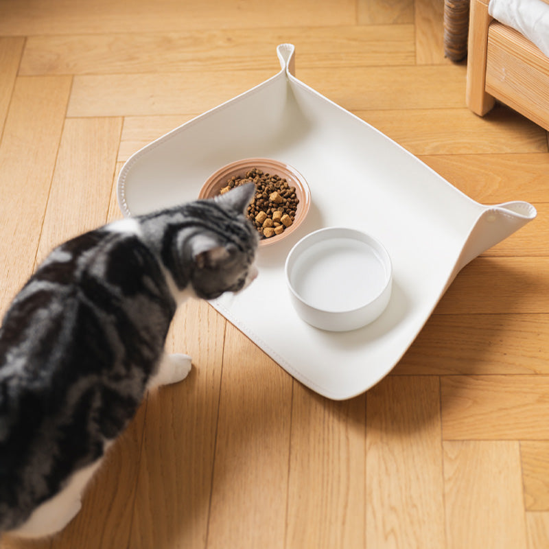 https://cdn.shopify.com/s/files/1/0549/1638/2879/files/funnyfuzzyPetSpill-proofBowlMatsWaterproof_Greaseproof-_4.jpg?v=1685589795&width=800