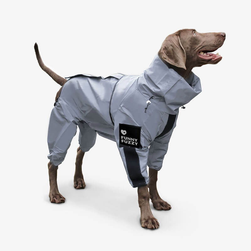 Brown Dog Wearing a Reflective Silver Coat 