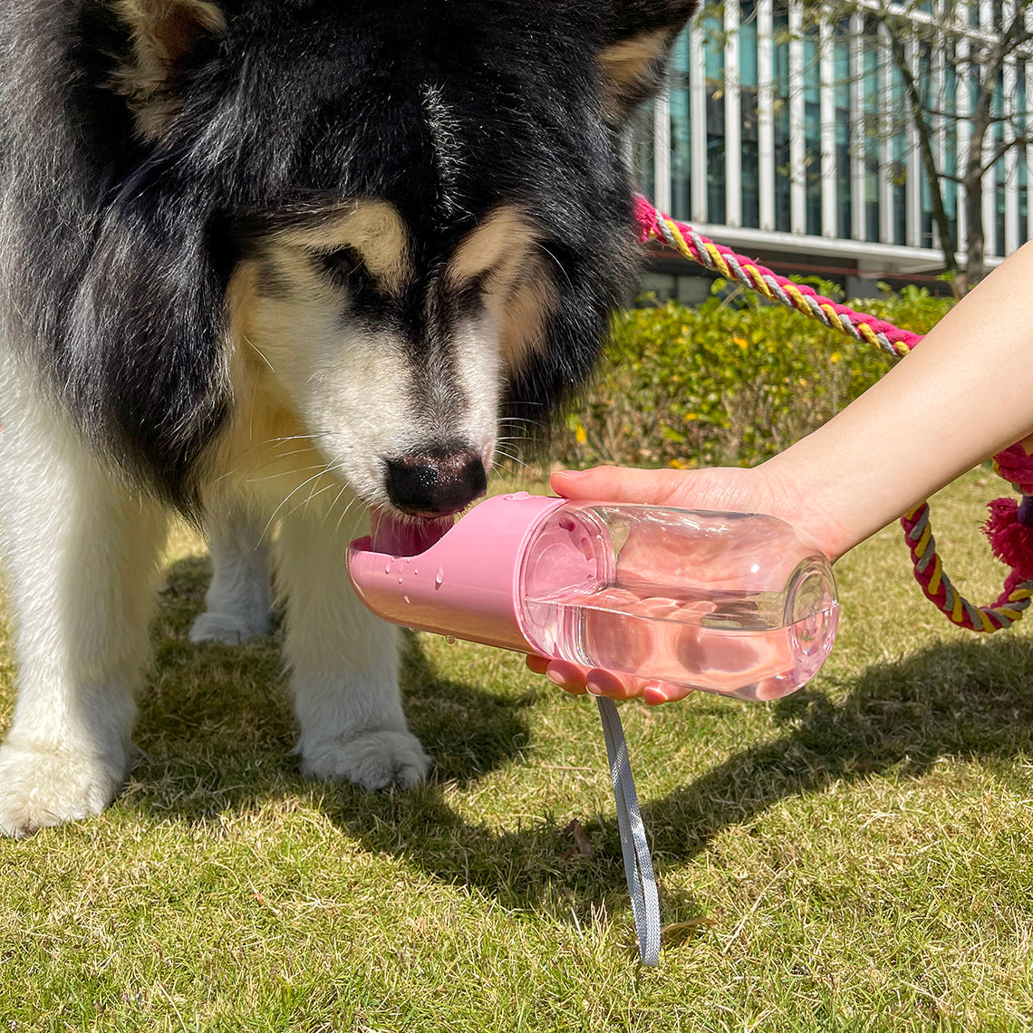 Image of Portable Outdoor Dog Water Bottle