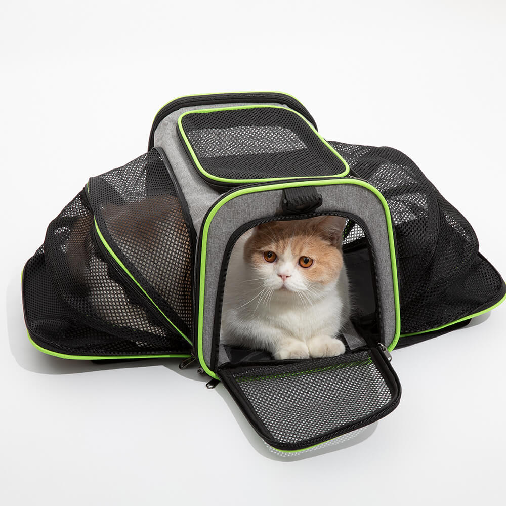 Dual Purpose Pet Trolley Case Carrier Cats Transparent Backpack