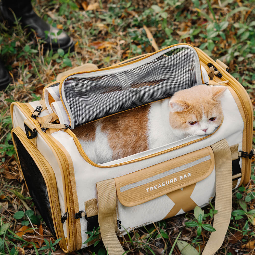 Dual Purpose Pet Trolley Case Carrier Cats Transparent Backpack