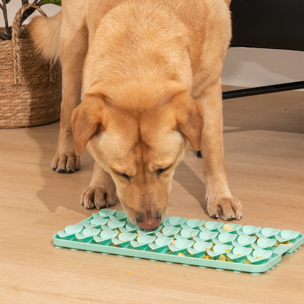 Cosmos Slow Feeder Dog Bowl - Funnyfuzzy