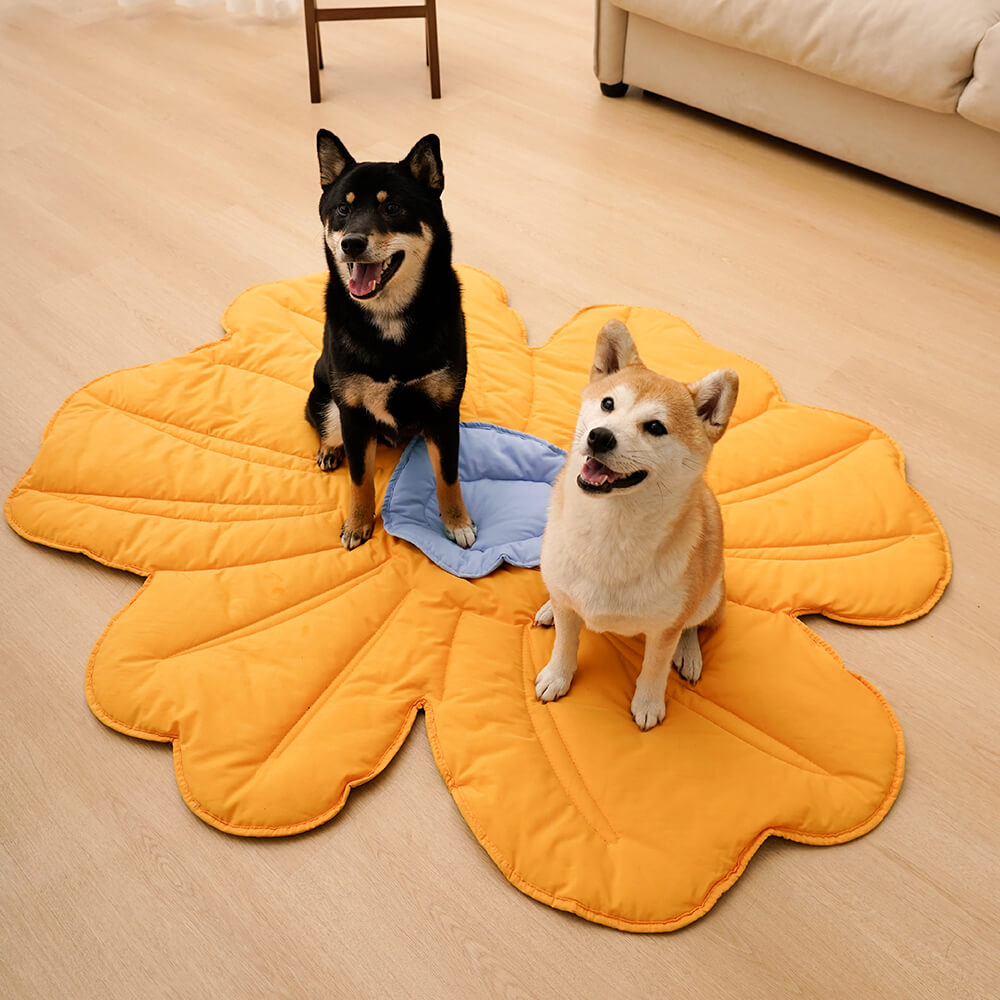 Couverture pour chien en forme de feuille – PuppySafe