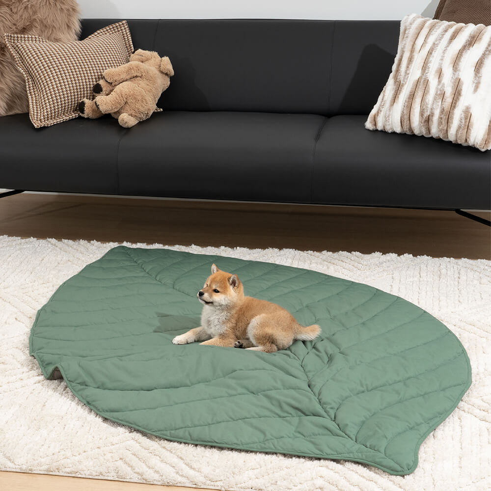 Luxury Moss Rug Hand Tufted Wool Pet Mat Pet Rug - FunnyFuzzy