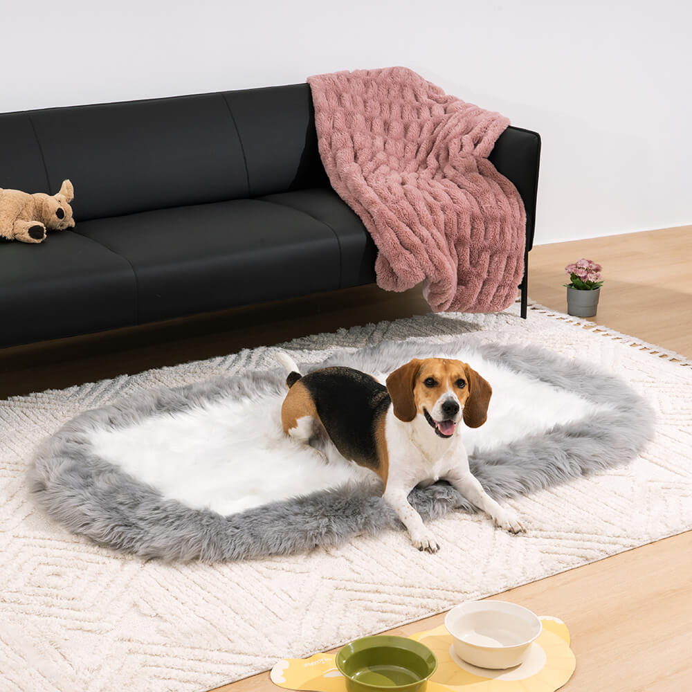 https://cdn.shopify.com/s/files/1/0549/1638/2879/products/FunnyFuzzy_SuperSoftLongPlushFluffyRugPetMat9.jpg?v=1681712050&width=1000