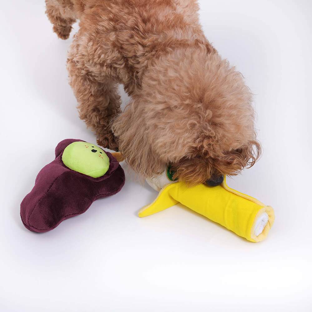 5 Fun Suction-Cup Dog Toys to Keep Canines Busy - Vetstreet