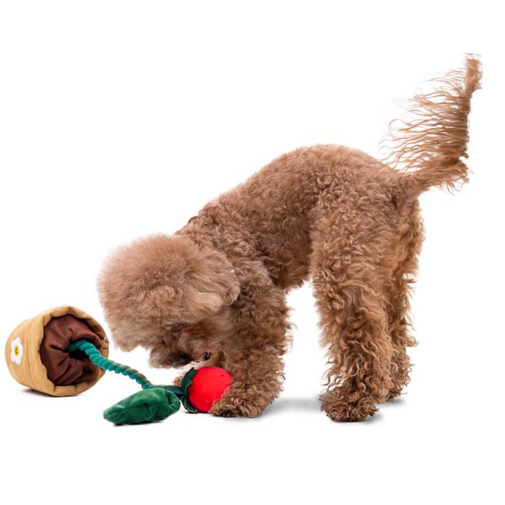 https://cdn.shopify.com/s/files/1/0549/1638/2879/products/Funnyfuzzy_PlushSqueakyDogToyStrawberryPotted8.jpg?v=1660735253&width=1000